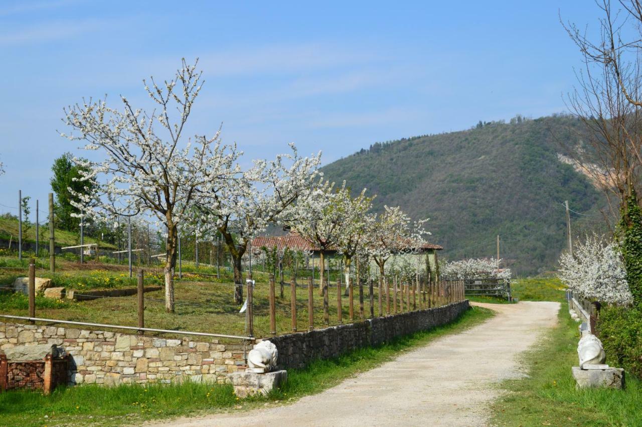 Cascina Valsorda Panzió Concesio Kültér fotó
